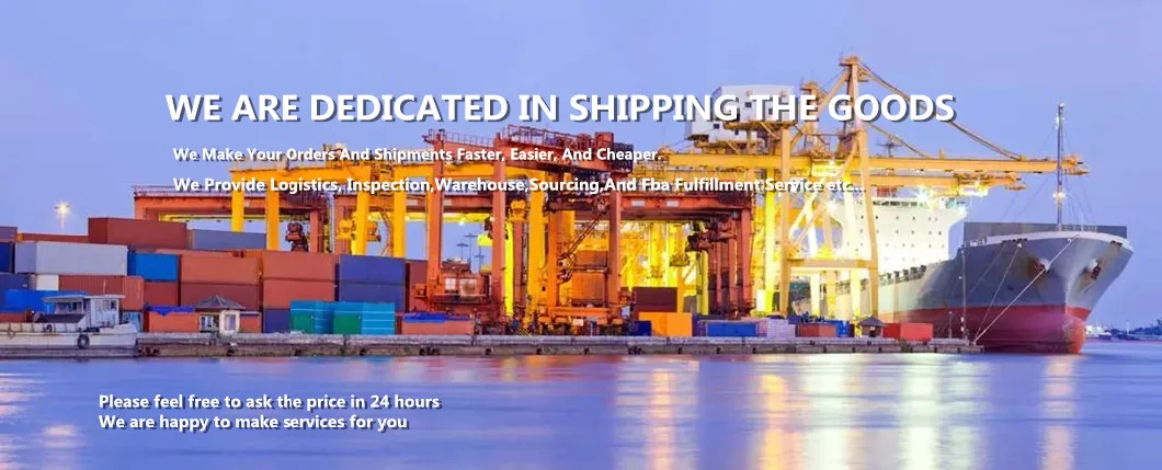 Best China Sea Freight Forwarder FCL LCL Ocean Freight Logistics Shipping From China to Argentina Buenos Aires Port