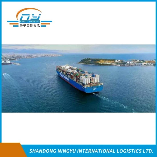 DDU 중국에서 체코까지의 해상 화물 운송 전문 DDU DDP