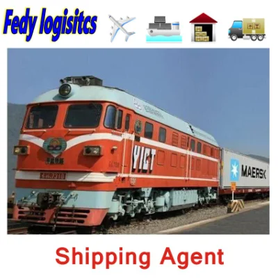 DDP/DDU 배송, 중국에서 유럽까지 철도 운송을 위한 항공 화물 물류 서비스, FCL 배송 대리점을 통해 모스크바 노보시비르스크까지 화물 서비스